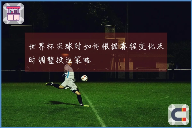 世界杯买球时如何根据赛程变化及时调整投注策略