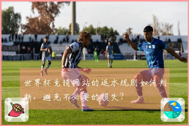 世界杯竞猜网站的返水规则如何判断，避免不必要的损失？