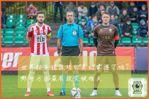 世界杯竞猜技巧你真的掌握了吗？哪些方法最有效突破难关