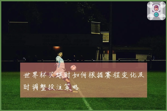 世界杯买球时如何根据赛程变化及时调整投注策略