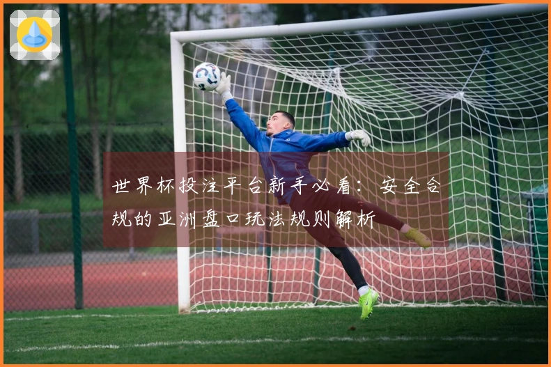 世界杯投注平台新手必看：安全合规的亚洲盘口玩法规则解析